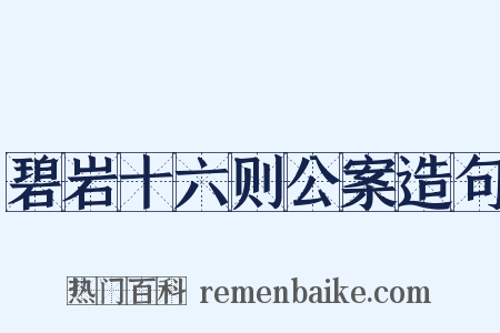 碧岩十六则公案造句是什么意思的图片